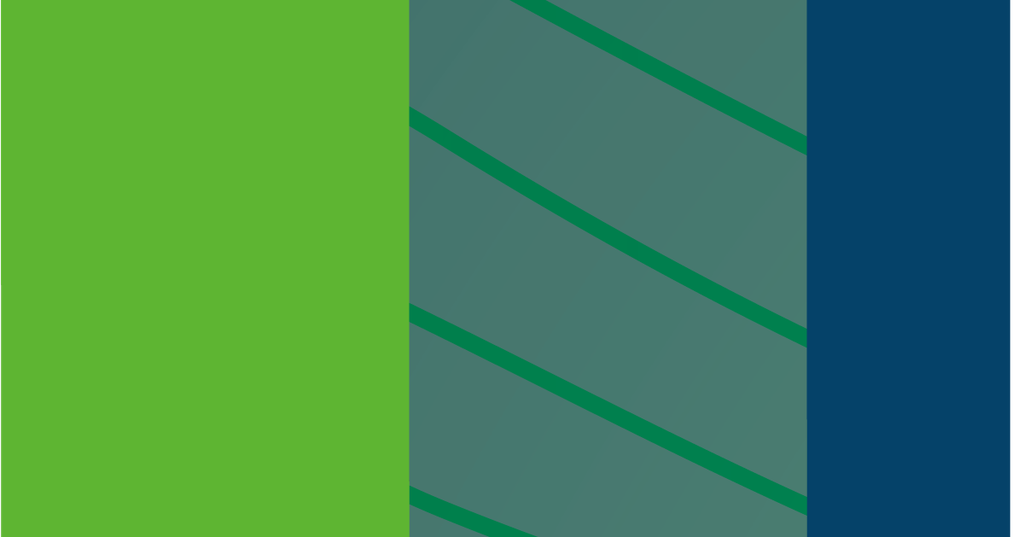 CS Snipe 01-6_13 x 11_75